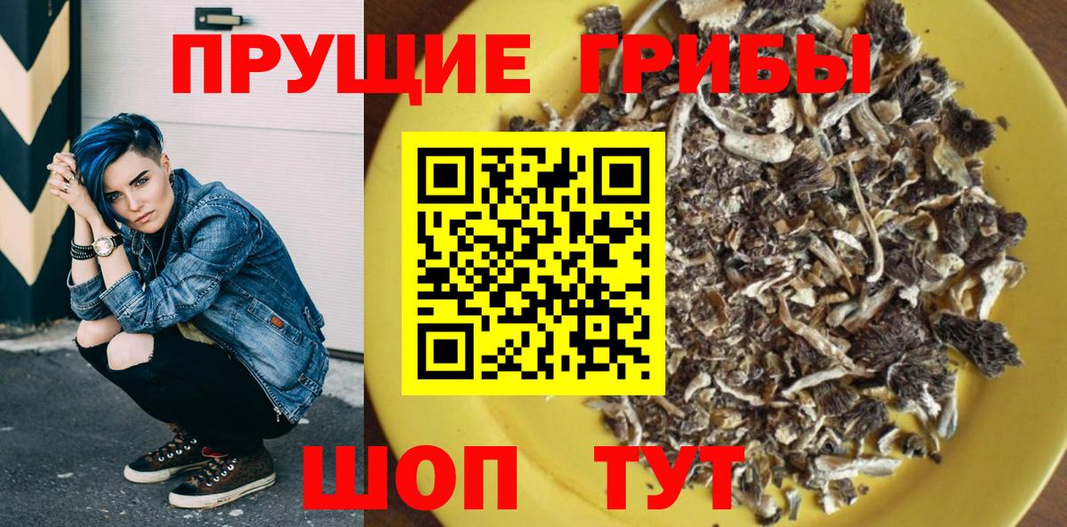 Псилоцибиновые грибы Cubensis Сарапул