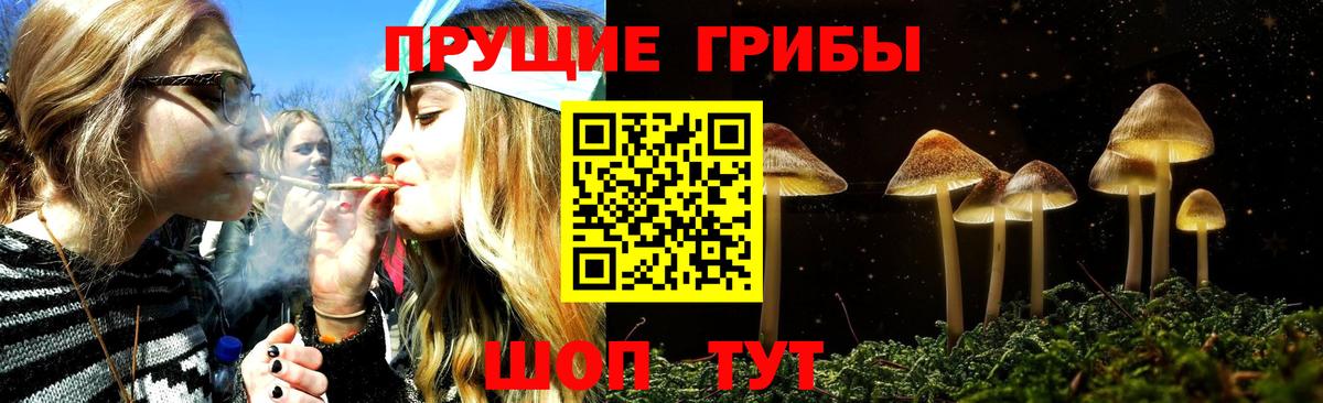 Сарапул  Галлюциногенные грибы Psilocybe  Вход с VPN 